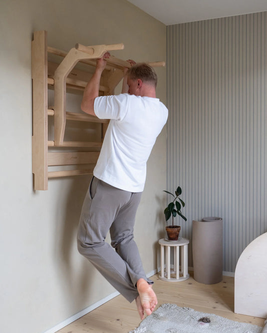 FitWood OKSA pull-up bar & dip station - Birk
