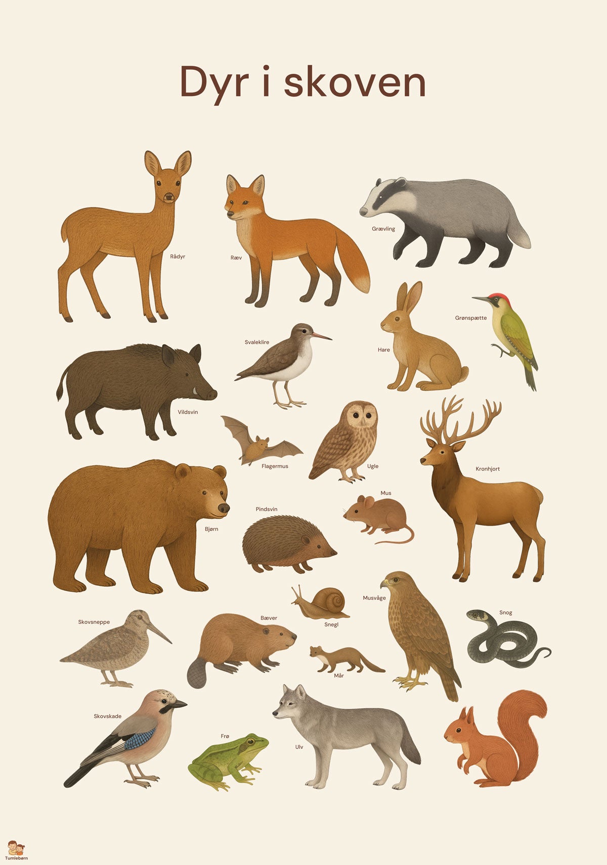 Dyr i skoven – Plakat (35x50 cm)