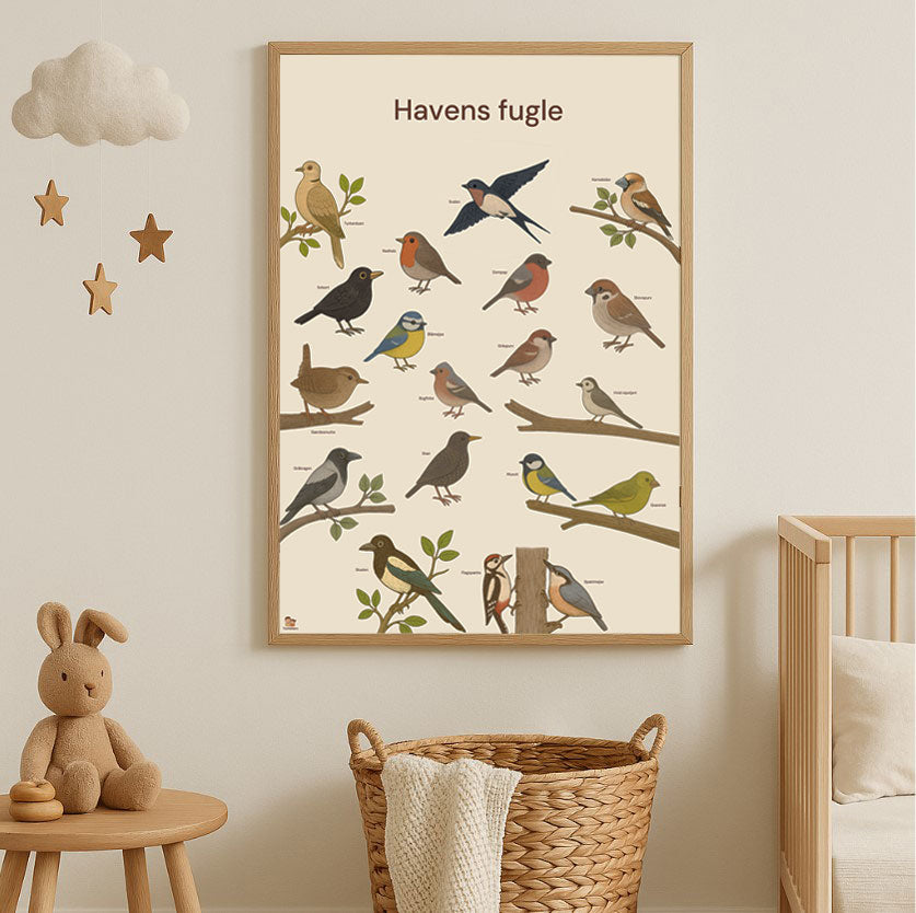 Havens fugle – lærerig plakat i børnehøjde (50x70 / 70x100 cm)