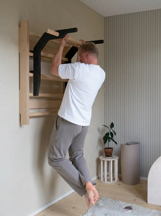FitWood OKSA pull-up bar & dip station - sort/birk