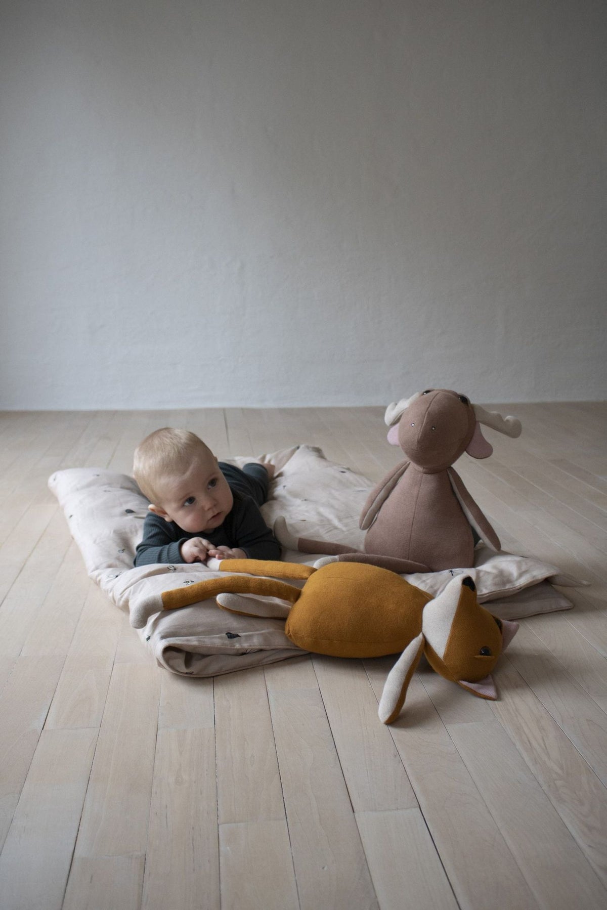 Filibabba bamse – Milo the Moose Brownie