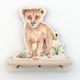 Mini Wall Shelf - Lion