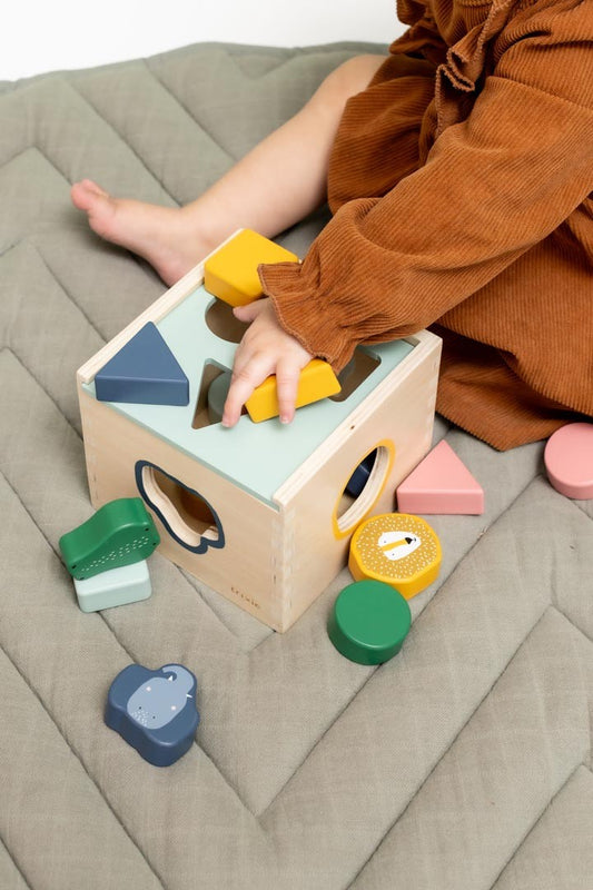 Wooden Shape Sorter