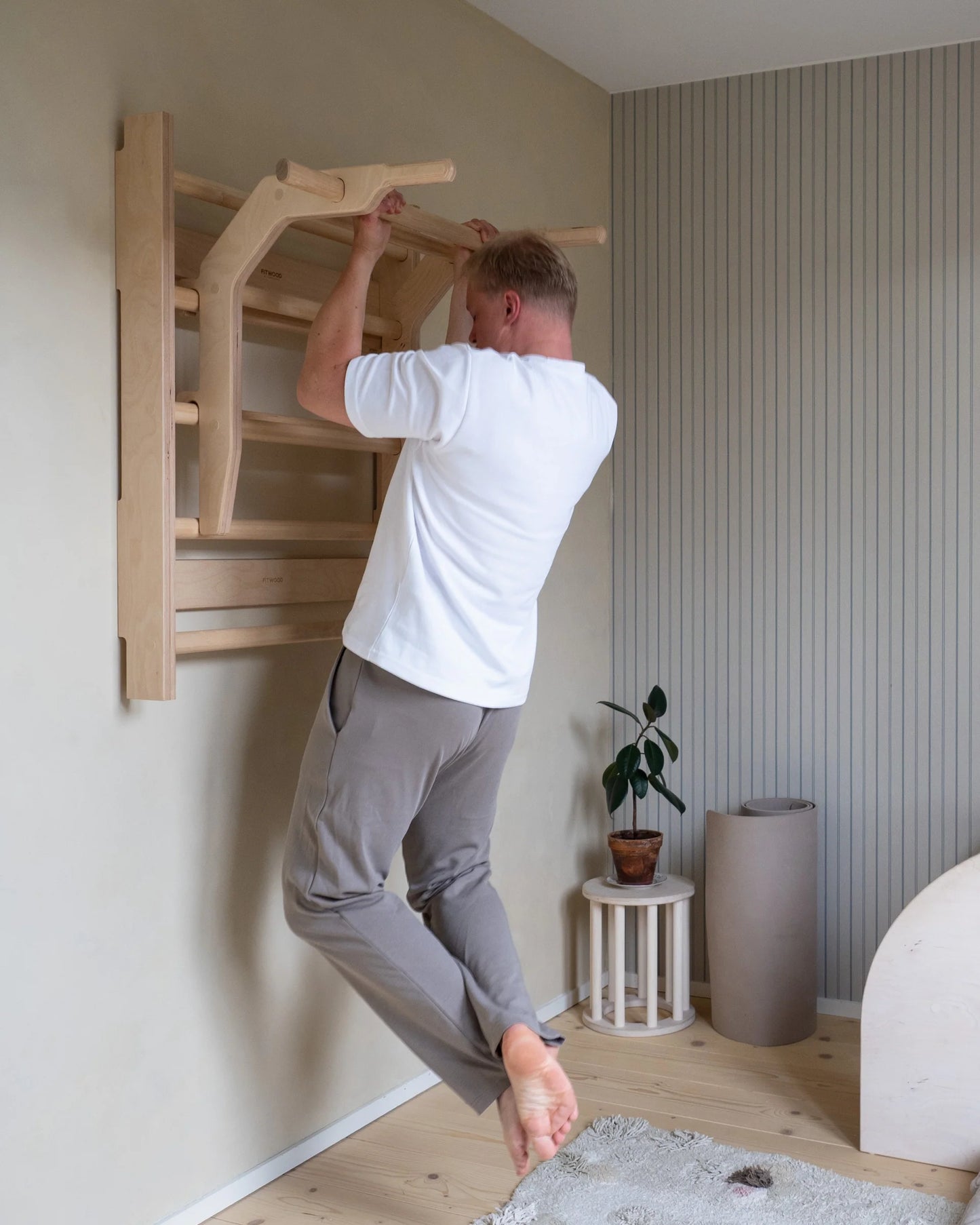 FitWood OKSA pull-up bar & dip station - Birk