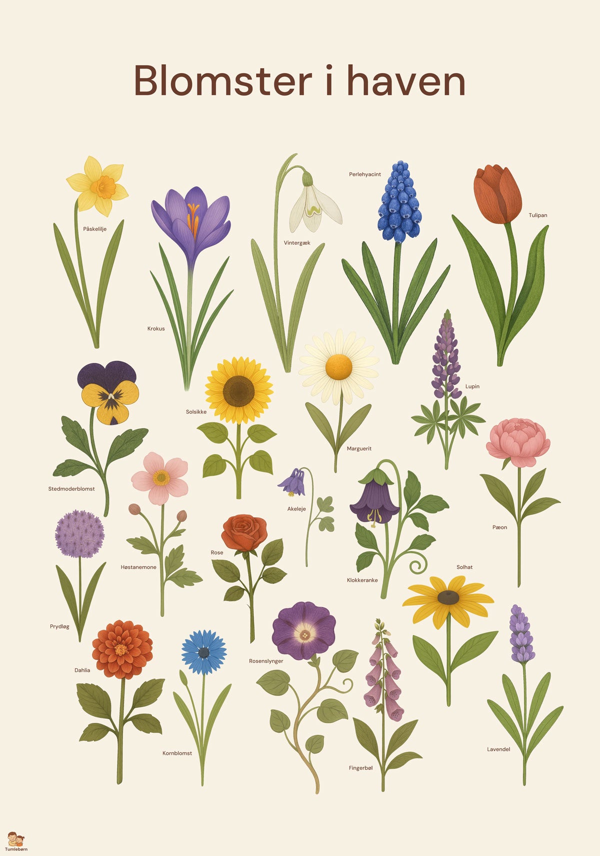 Blomster i haven – Plakat (35x50 / 50x70 cm)