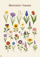 Blomster i haven – Plakat (35x50 cm)