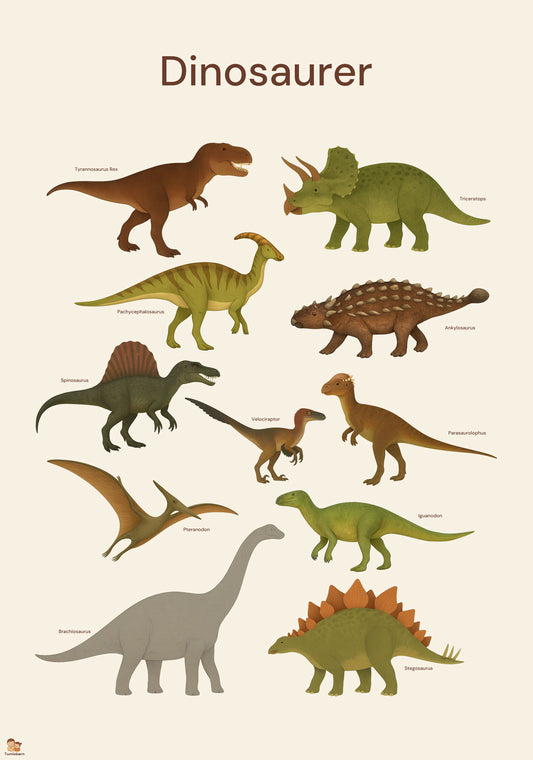Plakat – Dinosaurer (35x50 / 50x70 cm)