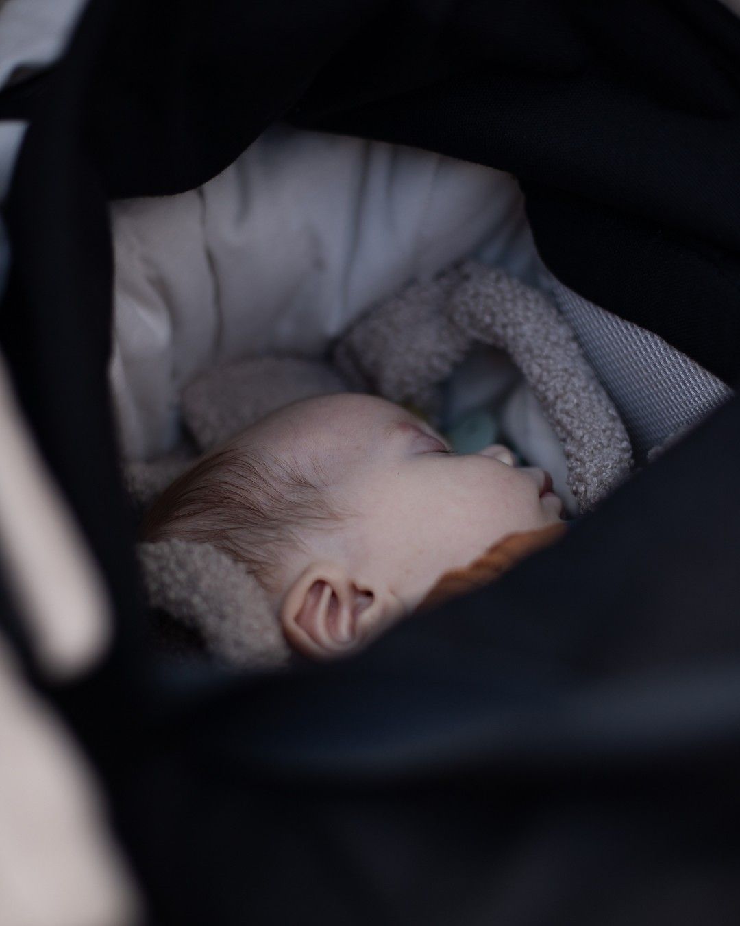 Easygrow Favn 2 CarryNest bærepose og babynest – sort