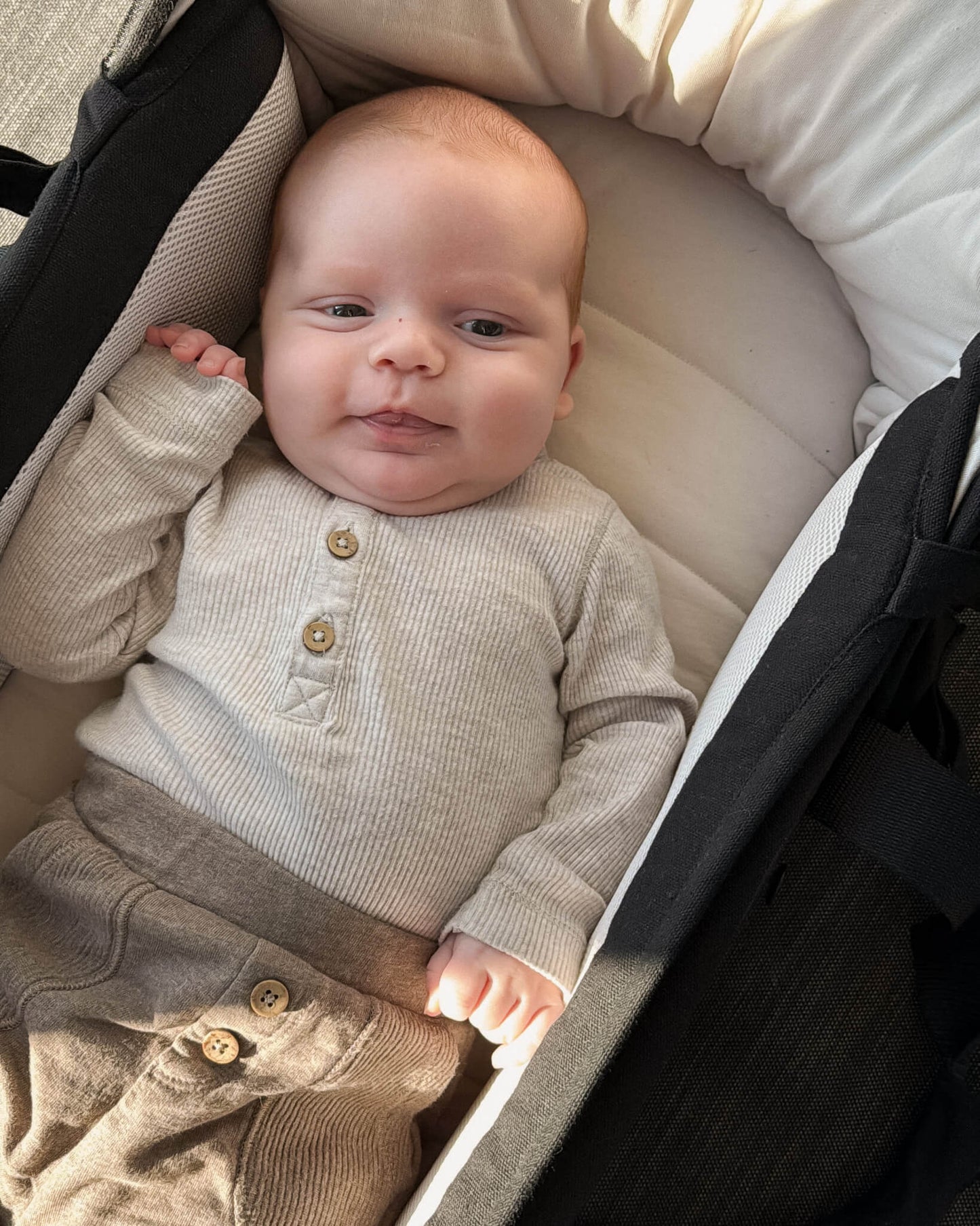 Easygrow Favn 2 CarryNest bærepose og babynest – sort