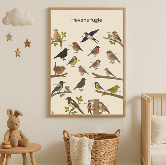 Havens fugle – lærerig plakat i børnehøjde (50x70 / 70x100 cm)