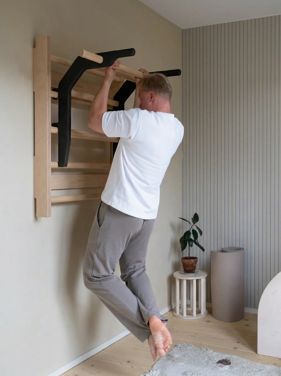 FitWood OKSA pull-up bar & dip station - sort/birk