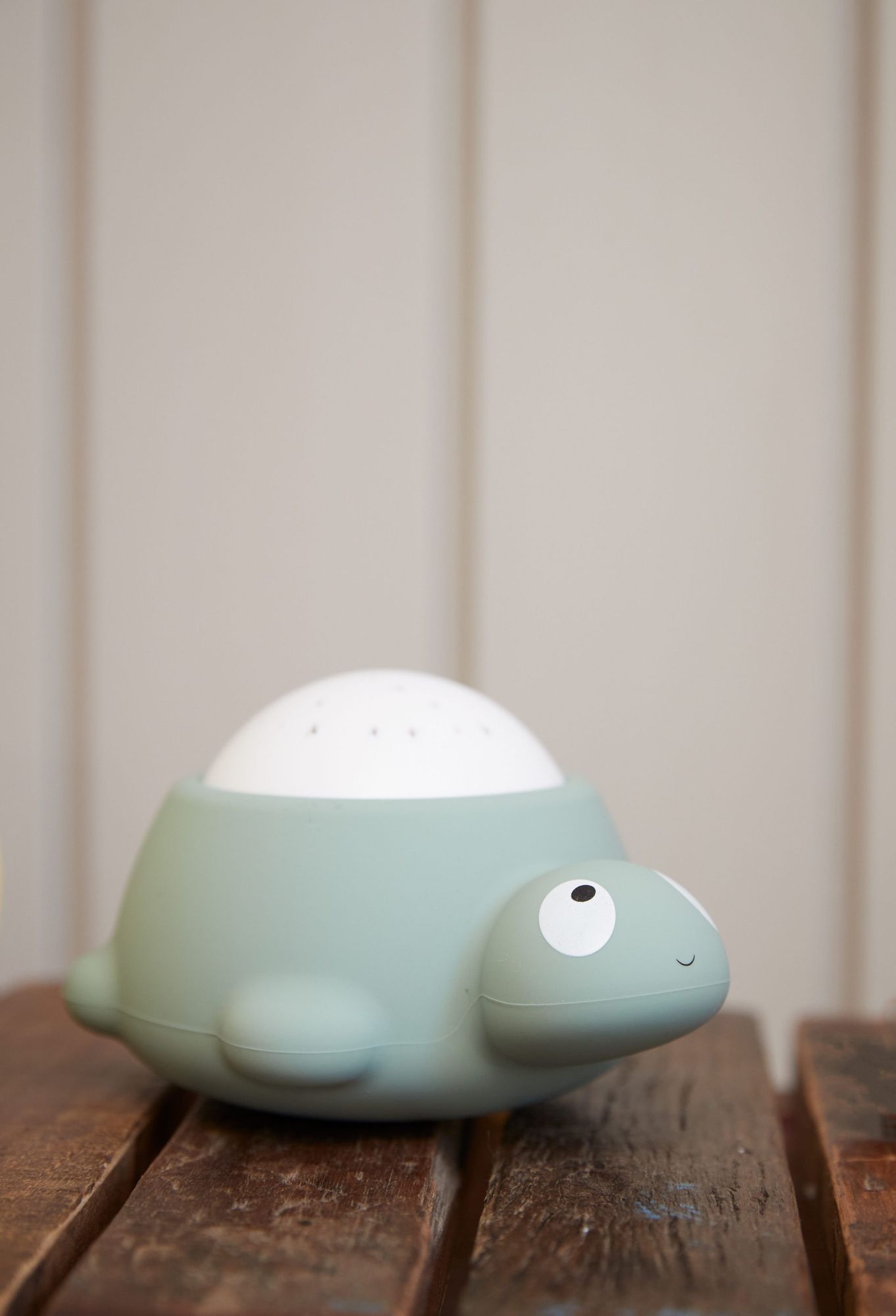 Filibabba LED skildpadde natlampe