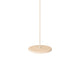 EVERGYM Wooden Disc Swing
