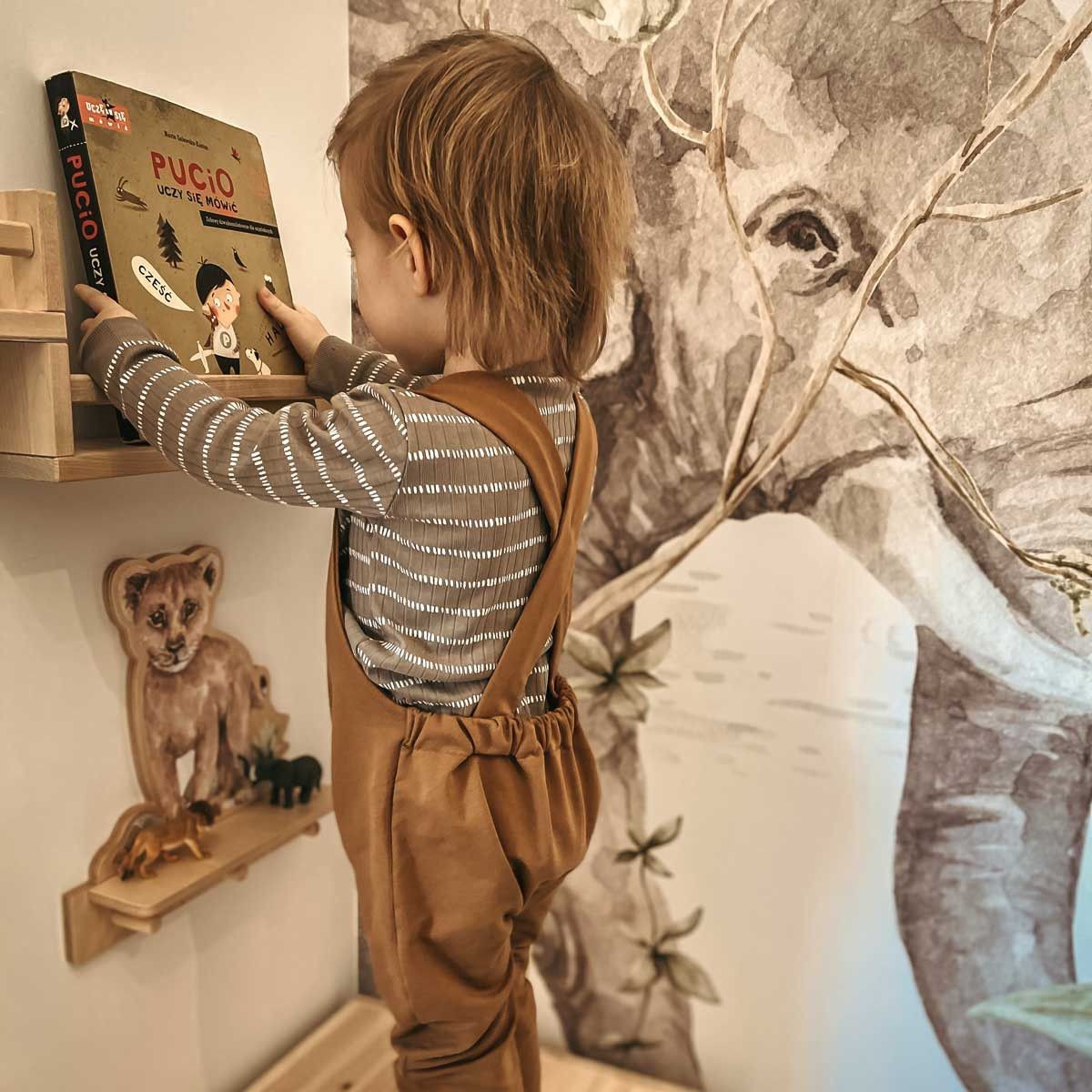 Mini Wall Shelf - Lion