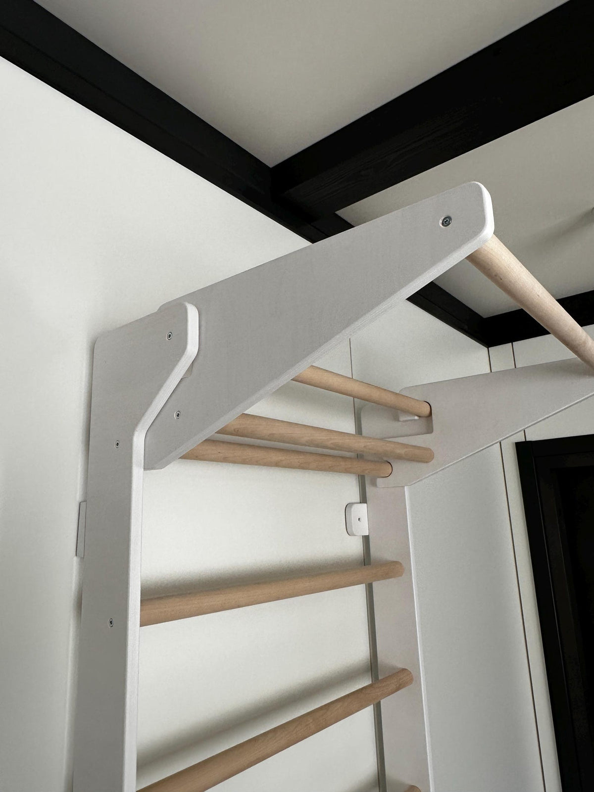 Swedish Ladder with Pull-Up Bar and Dips Bar